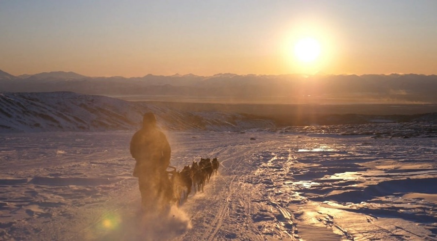 553a4e377538a65dcbc7b8c92a14f413