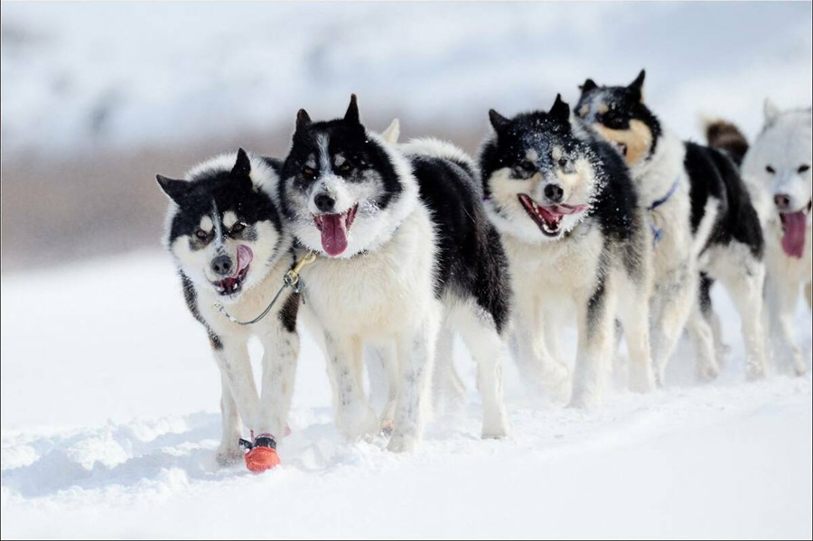 a795798a15610343326f592c8713d0b3